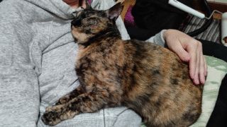 🐾プロフィール