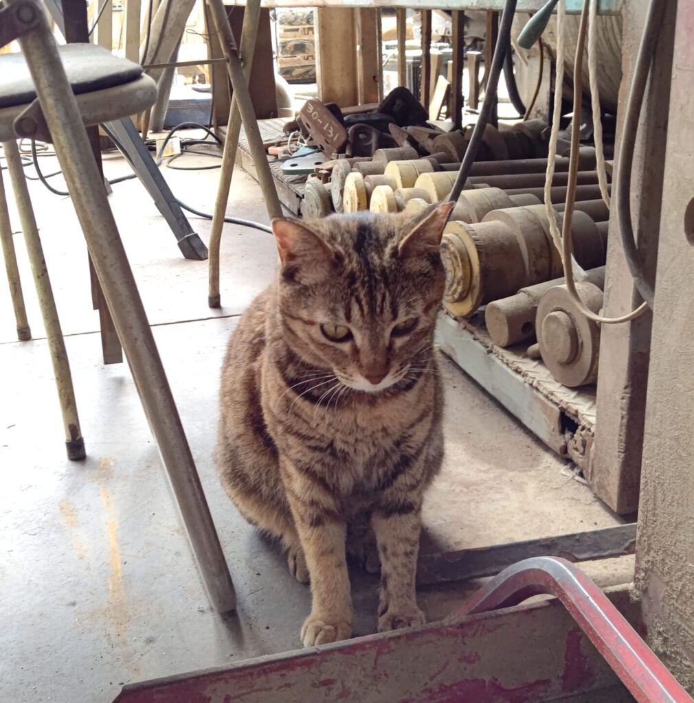 画像に alt 属性が指定されていません。ファイル名: HORIZON_0001_BURST20230421124926726_COVER-scaled-e1763510418892-1010x1024.jpg