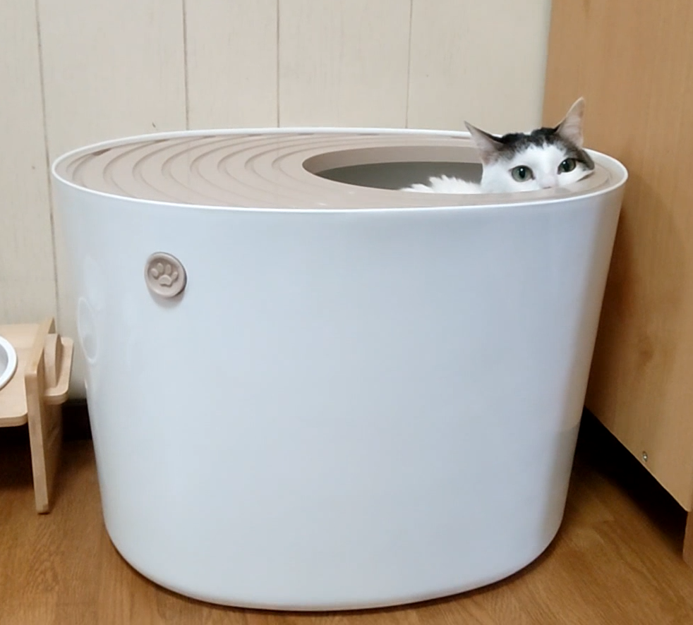 猫トイレ用品
